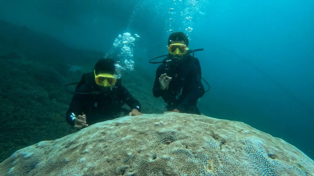 Snorkeling & Diving