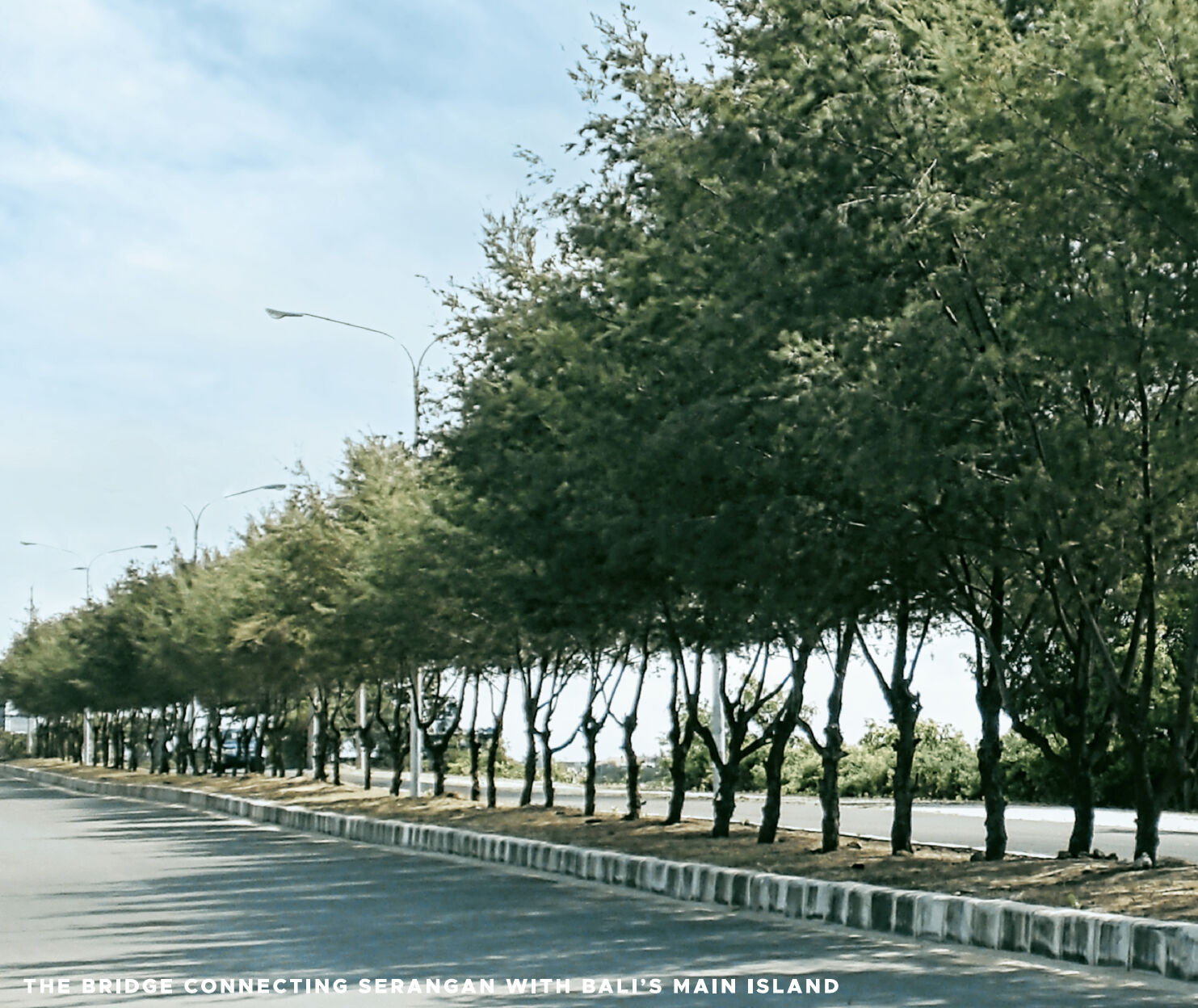 Tree-lined causeway road connecting Serangan Island with mainland Bali