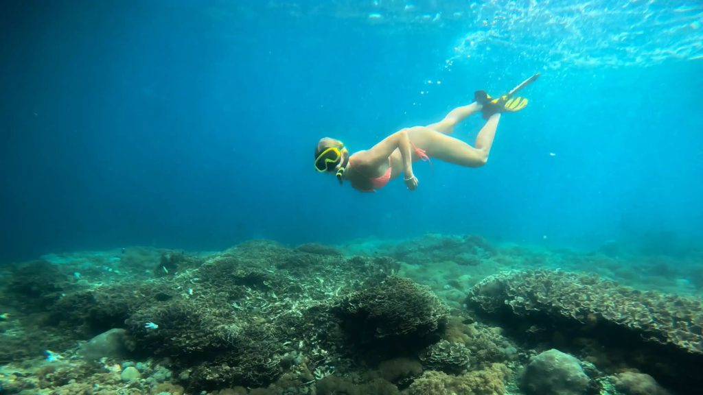 Snorkeling & Diving