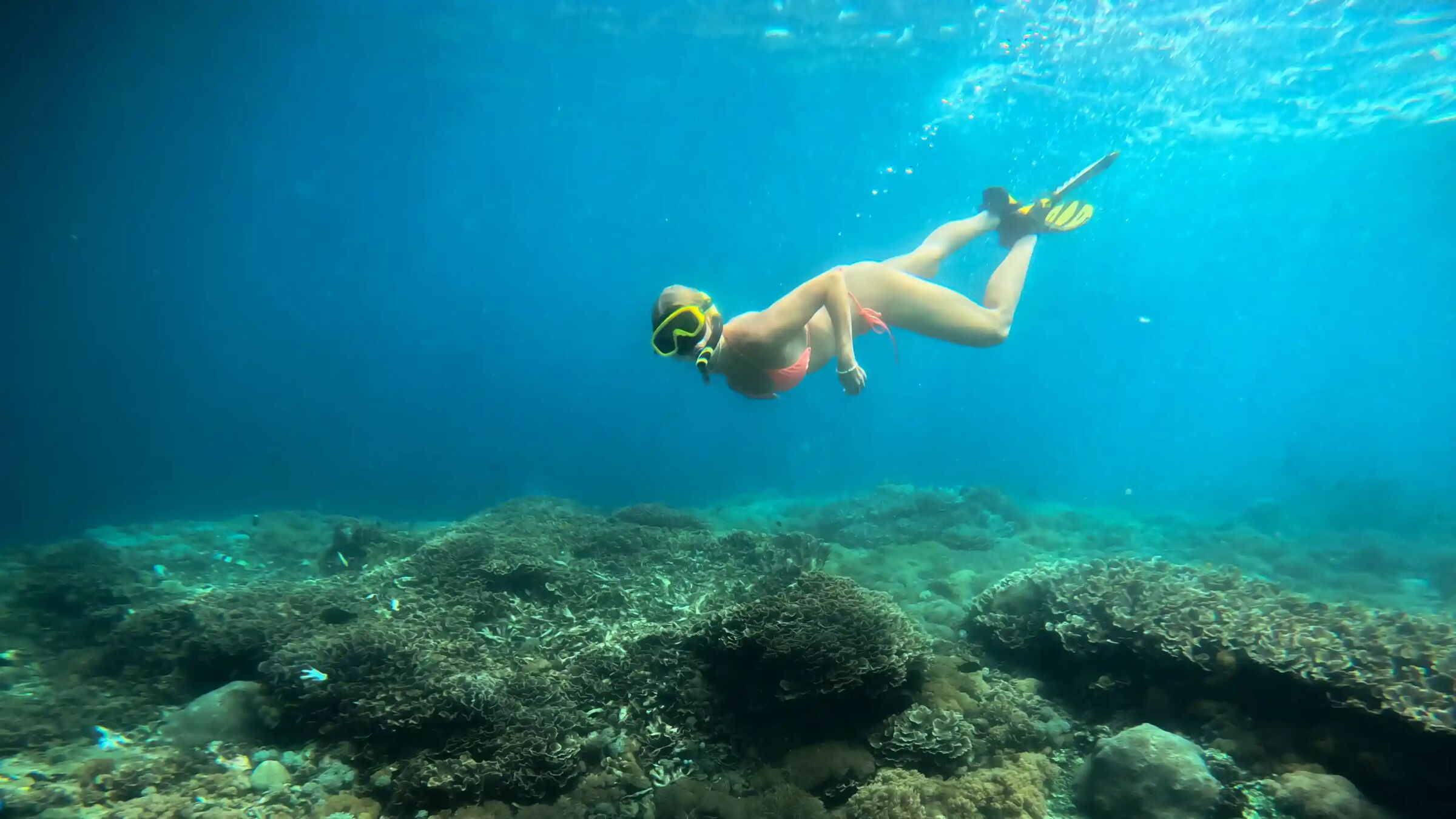 Snorkeler gliding over a shallow coral reef in clear blue water